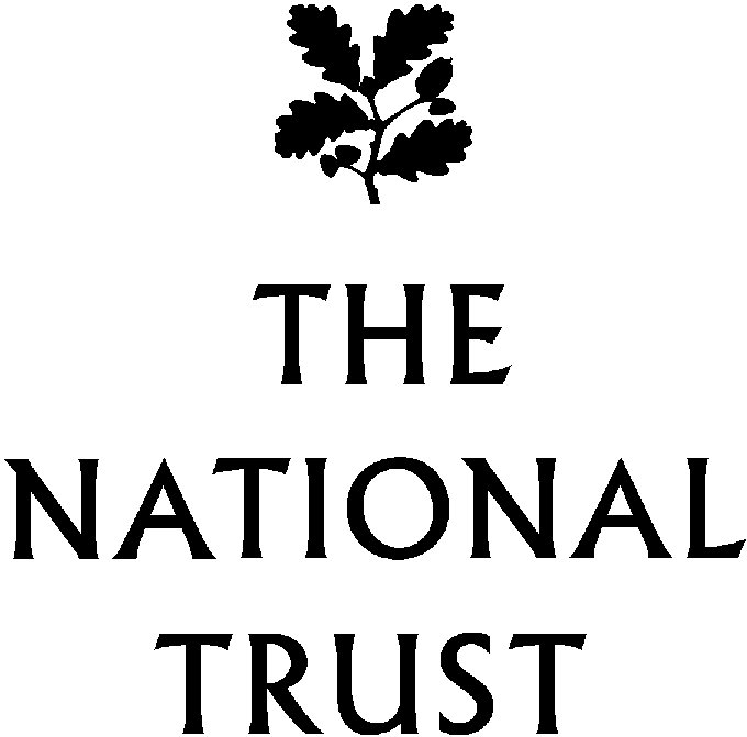 Nt Logo